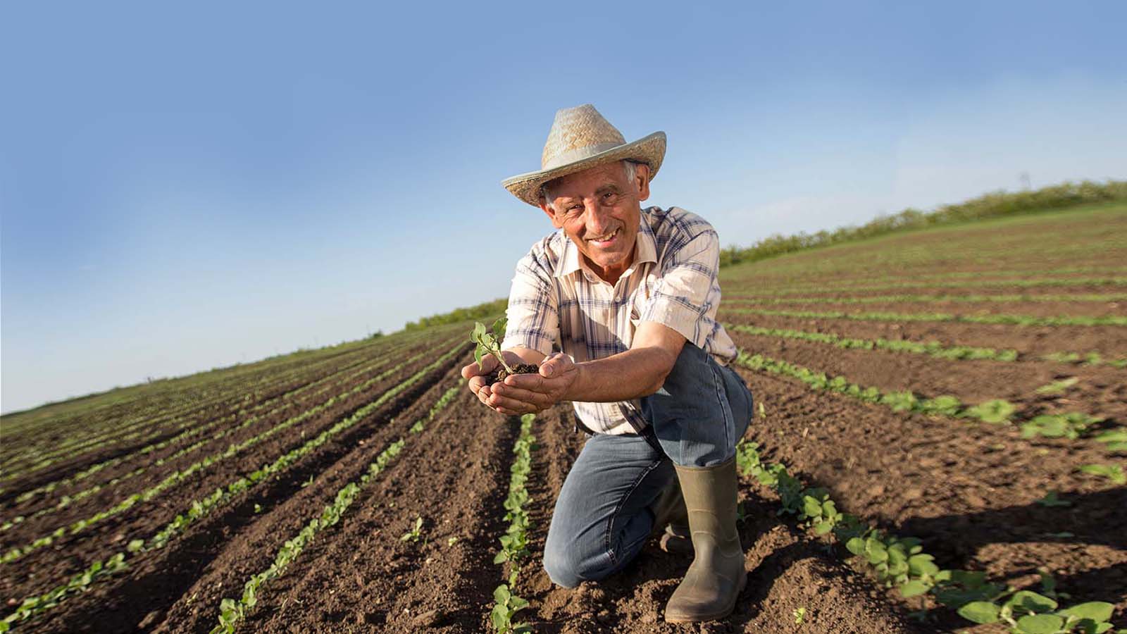 hombre mayor de campo mostrando su cosecha