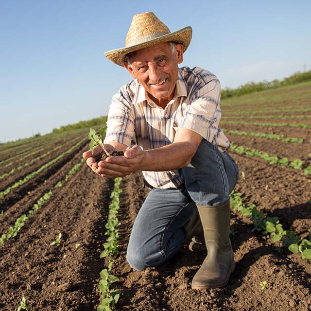 hombre mayor en el campo mostrando su cosecha
